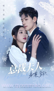 总裁夫人,身兼多职