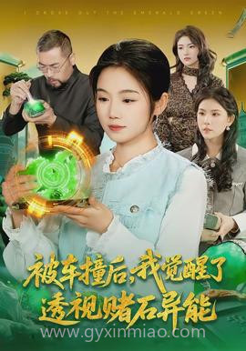 被车撞后,我觉醒了透视赌石异能了